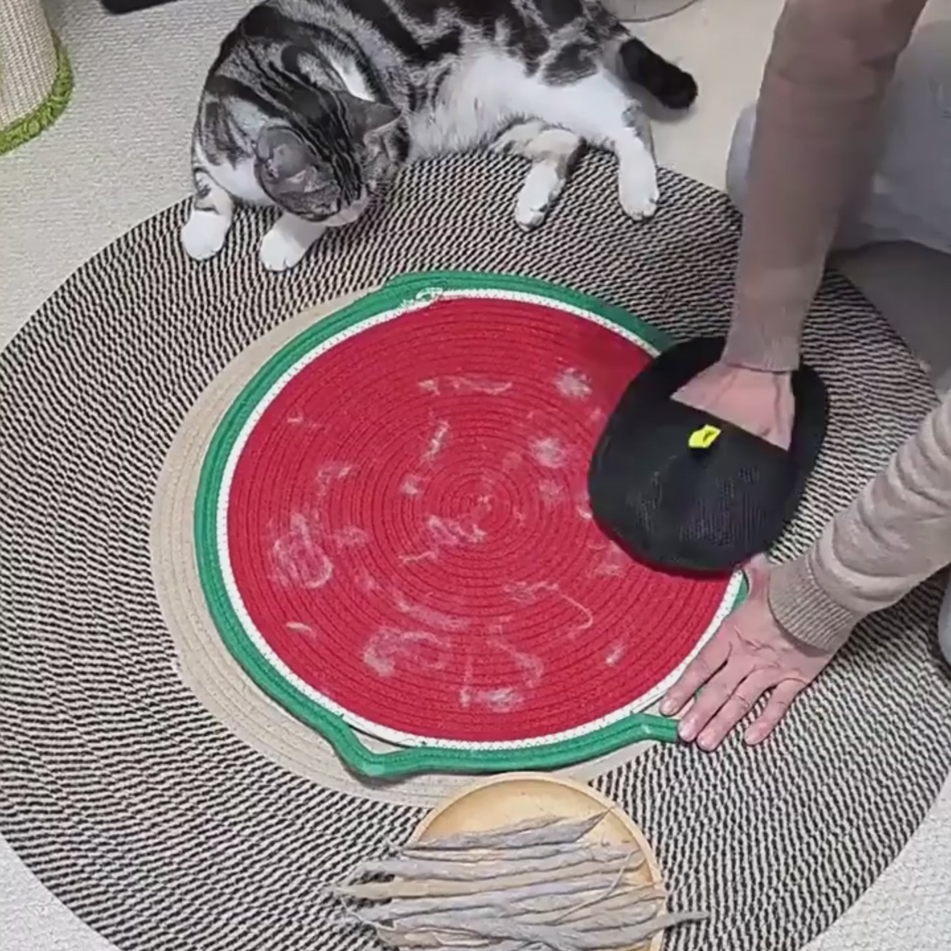 LintWay Pet Hair Remover Mitt